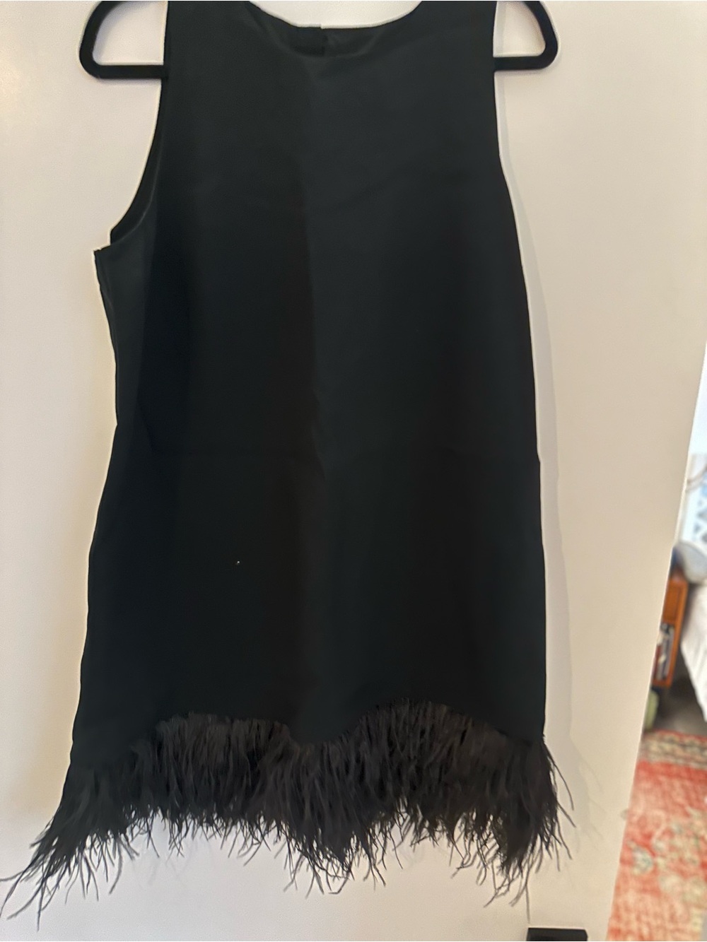 J. Crew Black Sleeveless Dress with Feather Trim